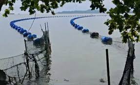 Hotel Marriot dan Spa Lampung Pagari Laut Dengan Jaring dan Tak Berizin, ini Kata HNSI