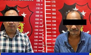 Terlibat Jaringan Penyelundup Benih Lobster Oknum Anggota Polsek Bengkunat Ditangkap Sudah Jadi Tersangka Dan Ditahan 