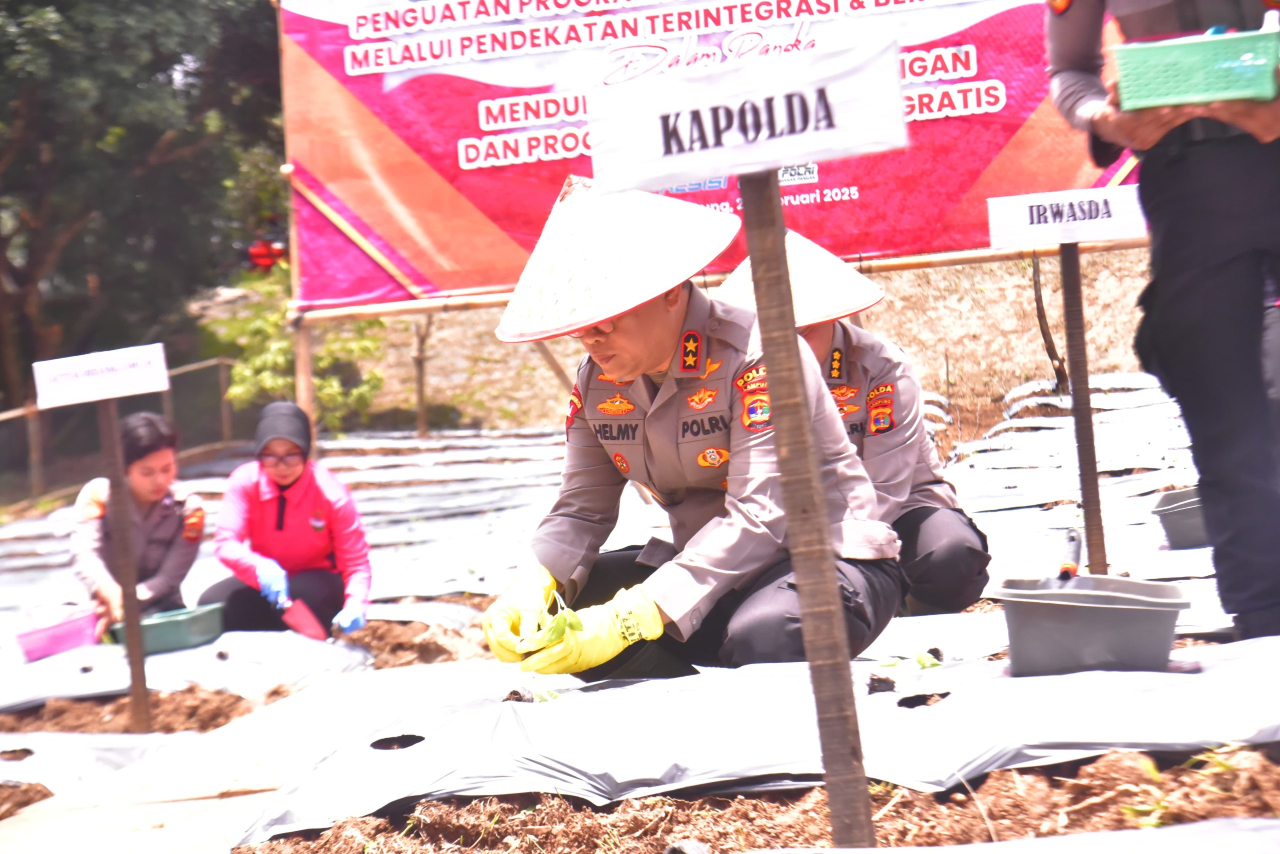 Kapolda Lampung Luncurkan Program Pekarangan Pangan Lestari