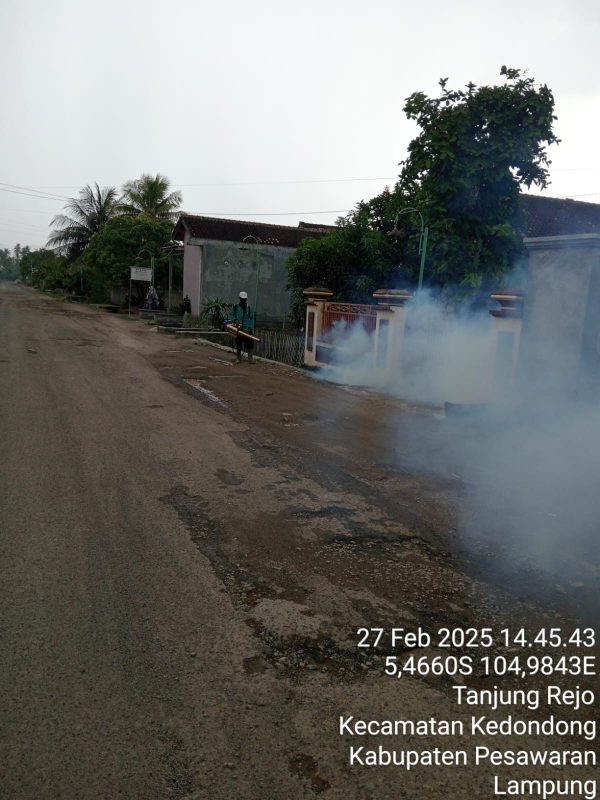 Cegah DBD Meluas, Pemdes Tanjung Rejo Laksanakan Fogging