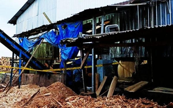PT Min Gook Indonesia Kembali Makan Korban Pekerja Tewas Masuk Mesin Penghancur Kayu