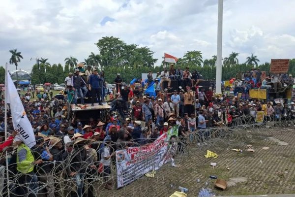 Pansus DPRD Lampung Minta Perusahaan Terapkan Harga Singkong Rp1.400