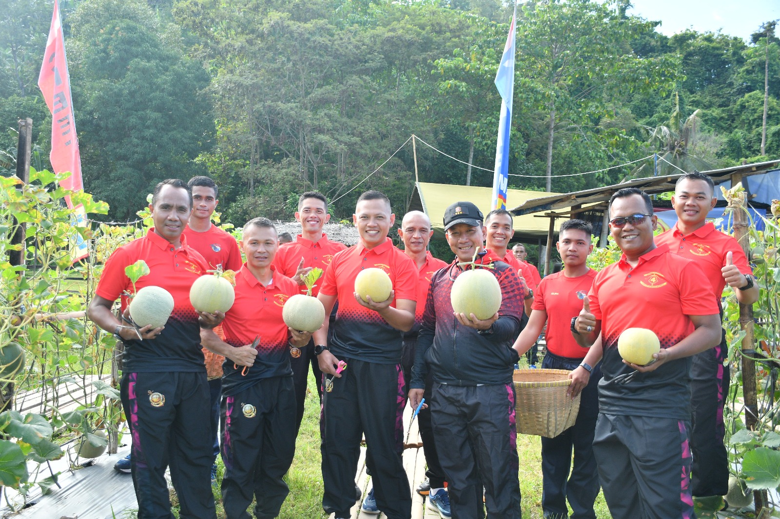 Pencapaian Program Ketahanan Pangan: Danbrigif 4 Mar/BS Pimpin Kegiatan Panen Melon Yonif 7 Brigif 4 Mar/BS