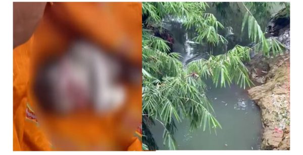 Mayat Bayi Ditemukan Hanyut di Sungai Belakang SDN 1 Kedamaian, Awalnya Dikira Boneka