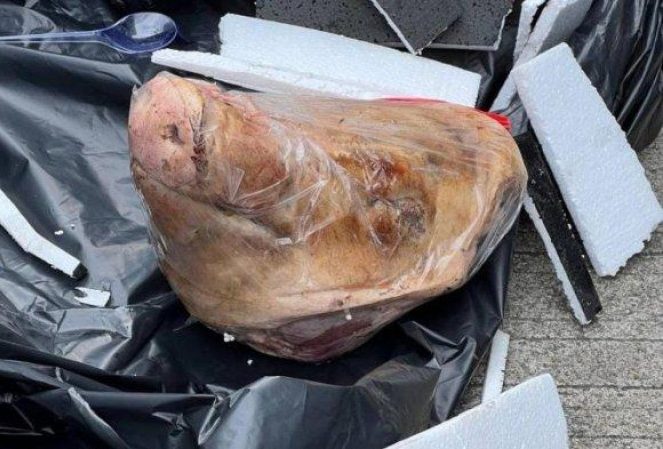 Kantor Redaksi Tempo Diteror Paket Berisi Kepala Babi