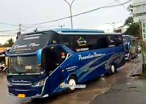 Preman Ambon Di Lampung