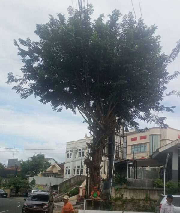 Wali Kota Eva Tindaklanjuti Keluhan Warga di Jalan Patimura, Kinerja Disperkim Diapresiasi