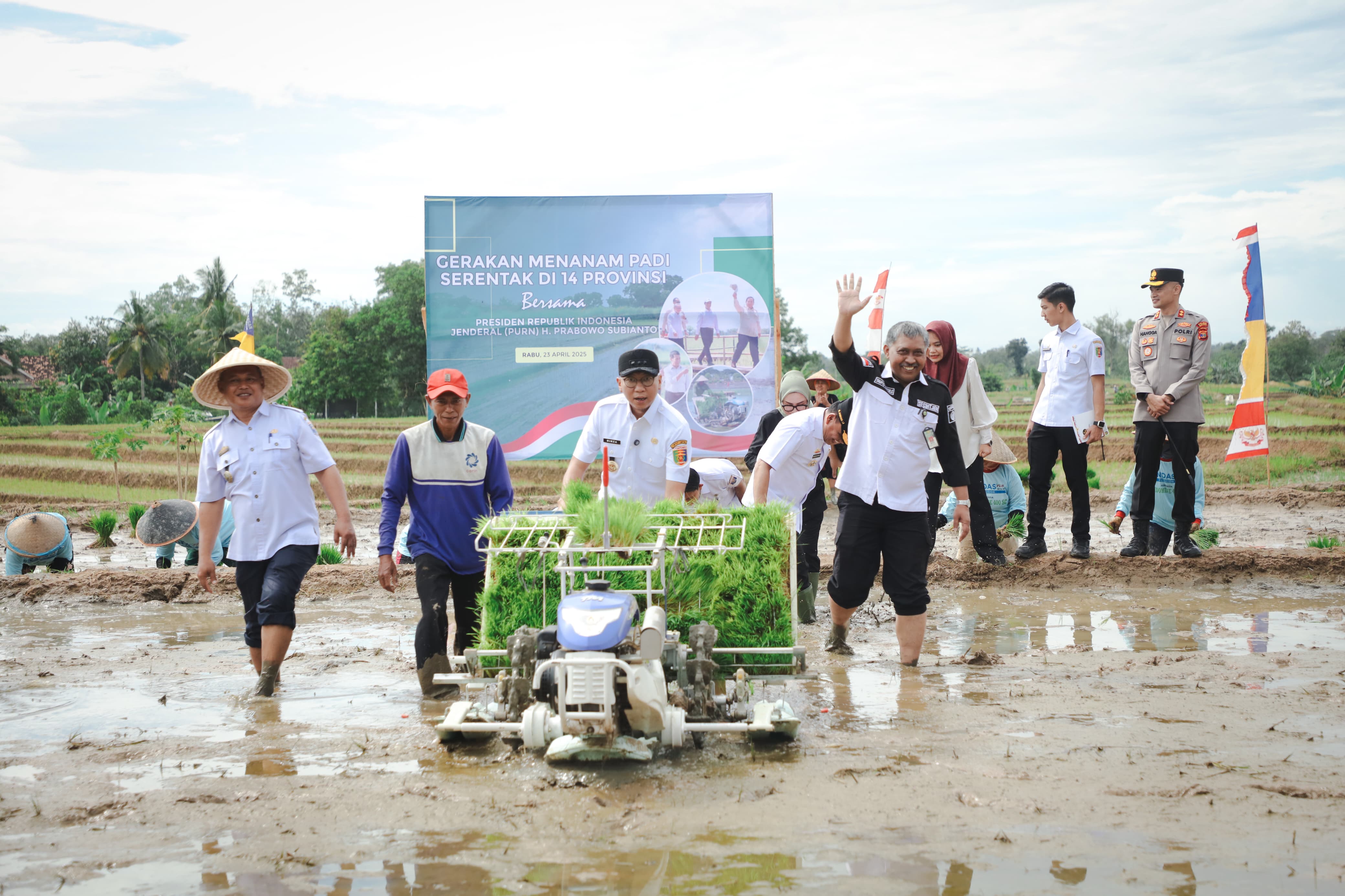 Pemprov Lampung Gaspol di Musim Tanam Kedua, Targetkan Produksi Padi Tembus 3,5 Juta Ton di 2025