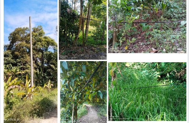 Kabel Listrik Menyentuh Tanah di Tanggamus PLN Lempar Tanggung Jawab ke Pemborong