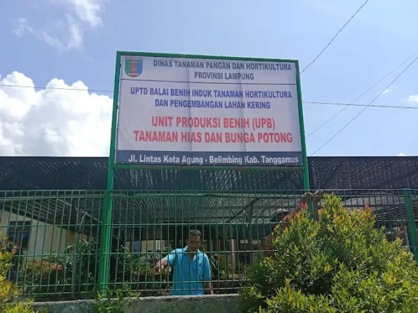 Dua Proyek DKPTPH Tahun 2024 Rp1 Miliar Untuk UPB Gisting Diduga Fiktif, Rekanan Membantah