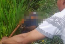 Warga Batukliang Meninggal Diduga Tersengat Kabel Listrik di Area Persawahan