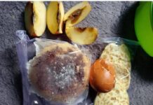 Jadi Sorotan, Diduga Ada Apel Busuk dalam Menu MBG di Montong Terep