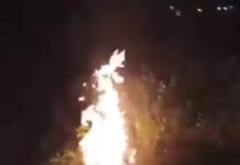 Motor Terduga Pencuri Alpukat Dibakar Massa di Sembalun Bumbung