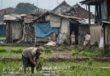 Sektor Pertanian Masih Jadi Penyumbang Kemiskinan di Lombok Tengah